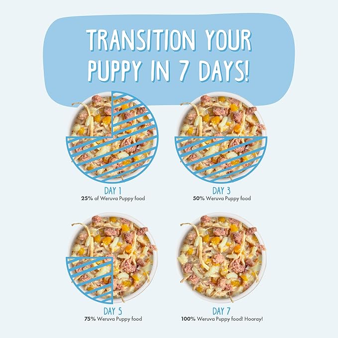 Weruva Puppy, Chicken and Rice Formula in Gravy, 14oz Can, Pack of 10