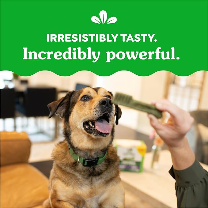 Greenies Original Large Dental Dog Treats, 6 oz. Pack (4 Treats)