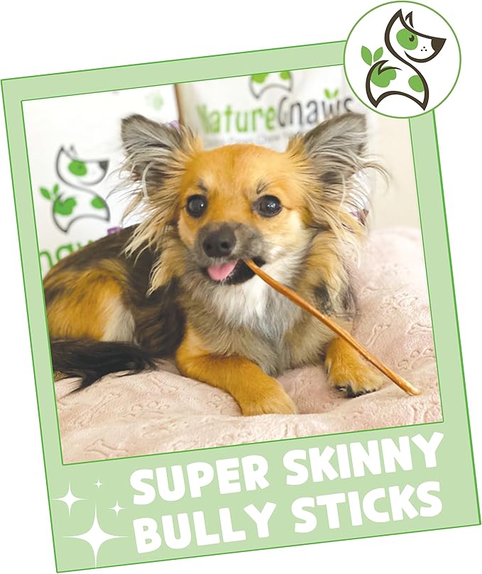 Nature Gnaws Super Skinny Bully Sticks for Small Dogs 5-6" (40 Count) - Long Lasting for Light Chewers and Puppies - Extra Thin Natural Beef Dog Chew Treats