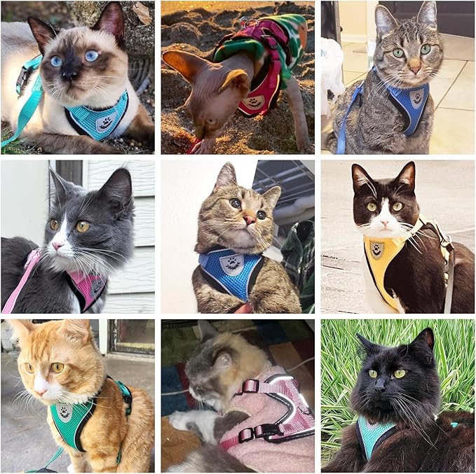 PUPTECK Cat Harness and Leash Set Escape Proof Reflective Cat Walking Harness Adjustable Soft Breathable Mesh Vest for Small Pets, Deep Pink, M