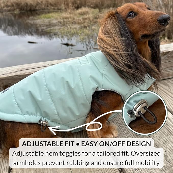 DJANGO Puffer Dog Coat – Warm Winter Dog Jacket & Water-Repellent Insulated Puffer Vest with Striped Lining, Harness Hole, Adjustable Fit for Small & Medium Dogs, Dachshunds – Sea Foam Green, X-Small