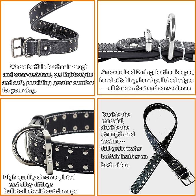 Studded Leather Dog Collar – Durable Adjustable Collar, Black Large