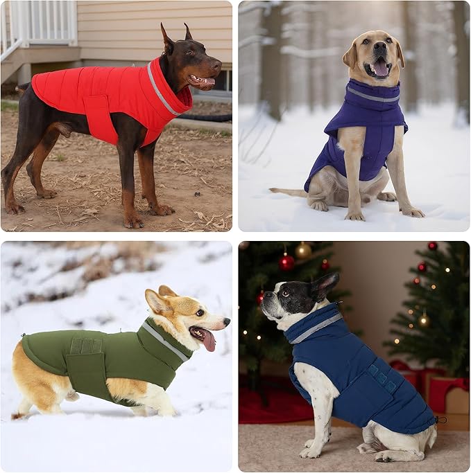 Dog Coat, Waterproof Winter Jacket, Warm Windproof Jacket, Reflective Adjustable Turtleneck Coats for Medium Dogs with Hook & Loop - Blue - M