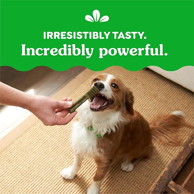 Greenies Original Petite Dental Dog Treats, 3 oz. Pack (5 Treats)