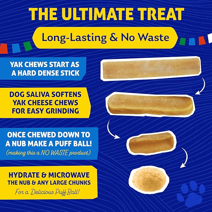 Himalayan Dog Chew Original Yak Cheese Chew, 1 Medium Stick, 2.3 oz, Gluten Free, Healthy Treats, Grain & Lactose Free 100% Natural, Long Lasting, for Dogs Under 35 lbs