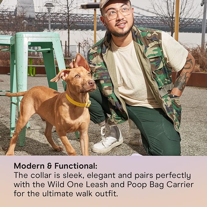 Wild One Dog Collar, Easy-Clean, All Weather Flex-Poly Strap with Metal, Durable, Dirt and Odor Resistant (Butter, M)