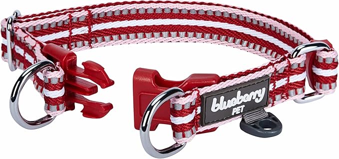 Blueberry Pet Safety Dog Collar with Dual D-Rings | 3M Reflective Multi-Colored Adjustable Collar in Marsala Red and Pink | Soft Nylon Dog Collar for Active Medium Dogs