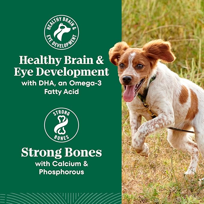 Nutro Natural Choice Chicken & Brown Rice Large Breed Puppy Food Dry Recipe, 30 lb. Bag