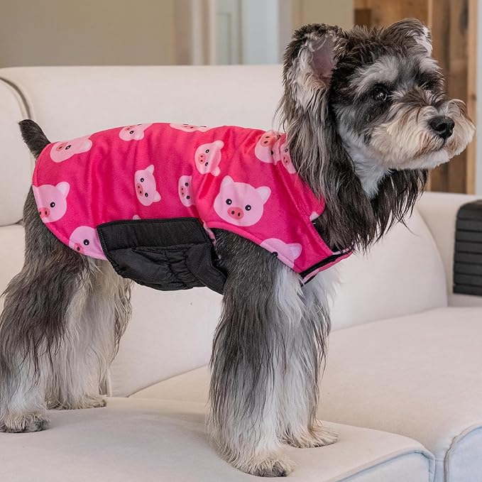 Cute Bone Winter Dog Jacket Reversible Vest Soft Coat Windproof and Waterproof with Leash Hole for Small to Large Dogs