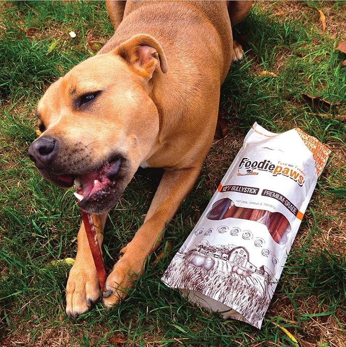 FOODIEPAWS 6 Inch Jumbo Bully Sticks for Dogs, 10 Pack | All Natural, Grass-Fed Beef | Extra Thick, Rawhide-Free & Fully Digestible Chews | Odor-Free, Long Lasting Dog Treats for Medium & Large Breeds
