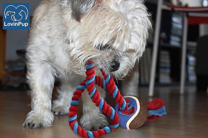 Dog Rope Toy with Tennis Ball, Nylon Rope with Balls, Fun Tug of War Toy for Dogs, Tough Dog Toy for Aggressive Chewers, Eskimo, Terrier, Beagle & More (3 Set Rope Dog Toy Red Ball)