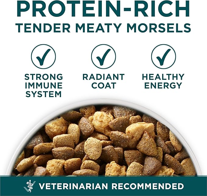 Purina One Plus Puppy Dry Dog Food for Large Dogs High Protein Growth Support, Real Chicken - 31.1 lb Bag