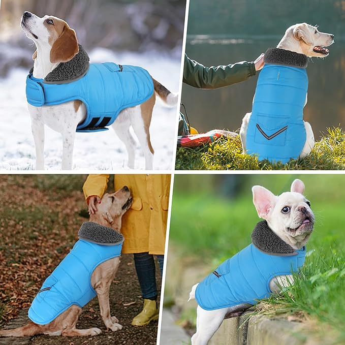 Dog Coat, Waterproof Dog Winter Jacket with Pocket, Reflective Adjustable Pet Snow Vest, Warm Cozy Fleece Sweater for Small Medium Extra Large Dogs - Sky Blue, M