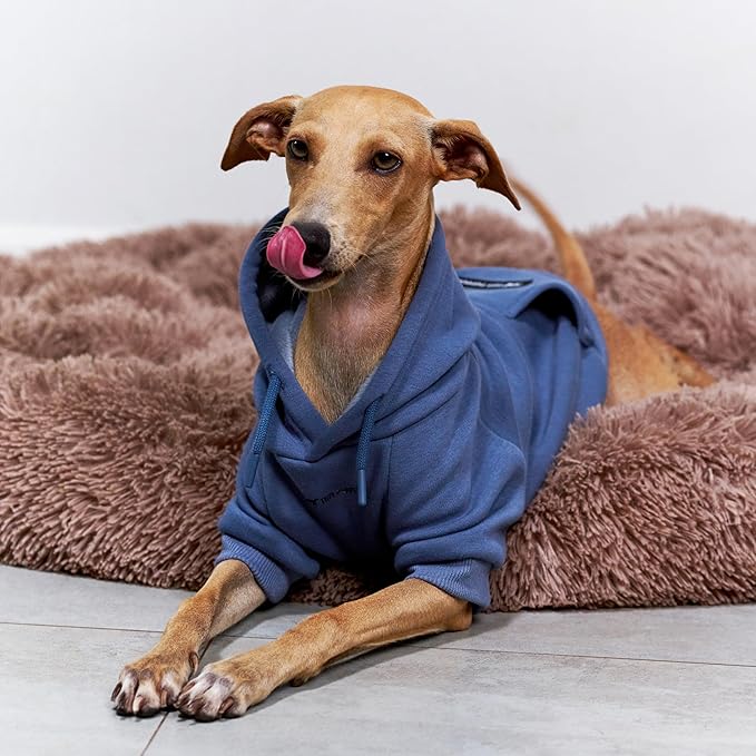 Tuff Pupper Dog Hoodie | Premium Quality 100% Organic Cotton | Ultra Soft Interior for Superior Comfort | Elastic Cuffs & Drawstring for Warmth | Stretch Fit Suitable for All Breeds (Blue, XXS)