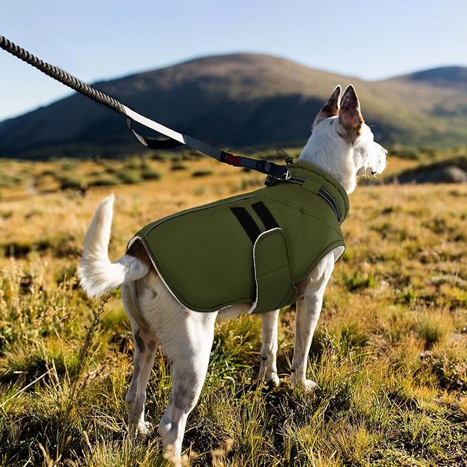 IECOii Dog Coats for Large Dogs Winter Waterproof Jacket with Collar Built in, XXL Dog Coat for Cold Weather Warm Snow Jacket with Thermal Fleece Lining, Reflective Pet Snowsuit Large,Army Green - 2XL