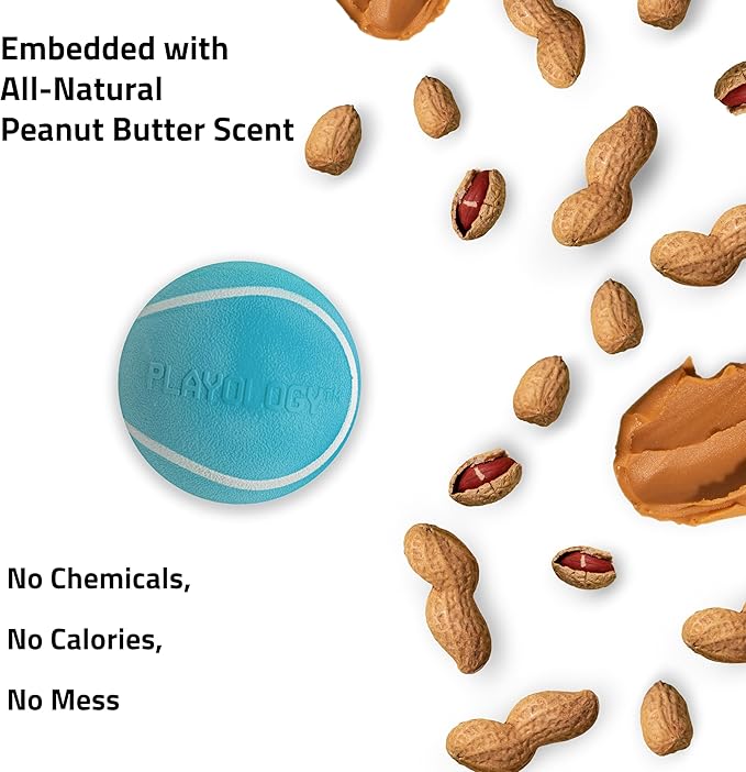 Playology Dog Toys | Squeaky Chew Ball - Bouncy Durable Floating Fetch Ball for Dogs, Value 2-Pack | Medium Peanut Butter Scented Toy - Easy to Clean and Made from Non Toxic Materials
