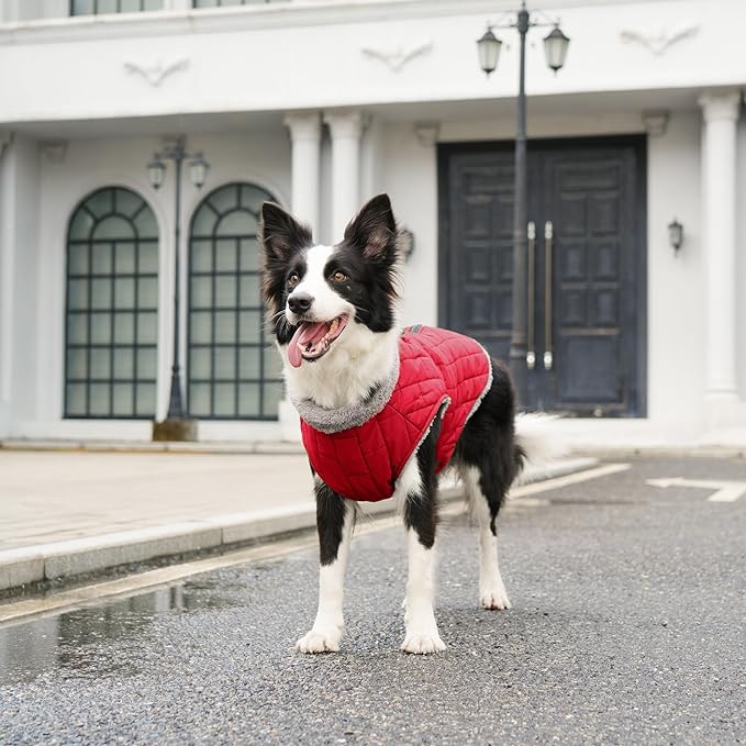 Warm Fleece Dog Coats with Durable Harness Buitl in D-Ring,Waterproof Puppy Jacket for Small Dogs,Dog Vest for Cold Winter,Red XS