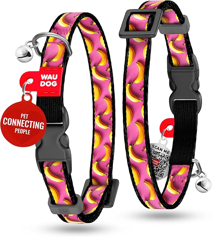 WAUDOG Nylon Cat Collar with Removable Bell and QR ID Tag for Small, Medium and Large Breeds Adjustable Long Lasting Durable Kitten Collars Boy & Girl