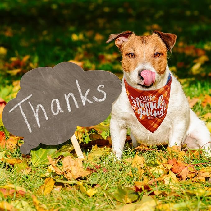 SCENEREAL Thanksgiving Dog Bandanas 2 Pack, Puppy Fall Orange Turkey Triangle Bibs Handkerchief, Reversible Holiday Dog Bandana for Boy and Girl, Premium Pet Scarf for Small Medium Large Dogs XL