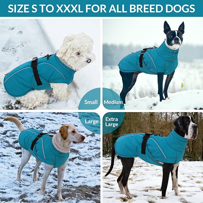 Queenmore XL Dog Coat, Winter Dog Jacket for Large Dogs, Waterproof Puffy Dog Snowsuit, Adjustable Reflective Fleece Lining Warm Padding Parka for Cold Weather, Blue XL