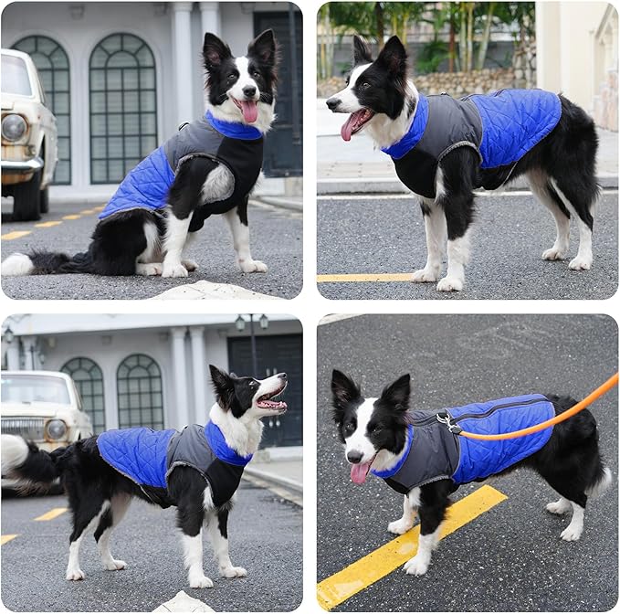 Warm Fleece Dog Coats for Medium Dogs,D-Rings Waterproof Puppy Jacket for Cold Winter,Blue XL
