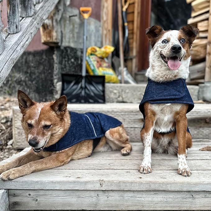Carhartt Firm Duck Dog Chore Coat, Insulated Weather Resistant Jacket for Cold and Windy Conditions, Denim, X-Large