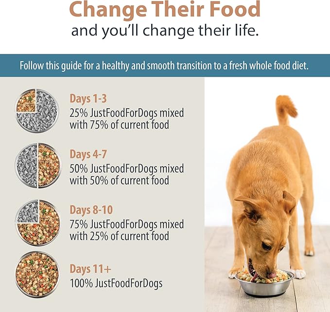 JustFoodForDogs Pantry Fresh Wet Dog Food Variety Pack, Complete Meal or Dog Food Topper, Beef, Chicken, & Turkey Human Grade Dog Food Recipes - 12.5 oz (Pack of 6)