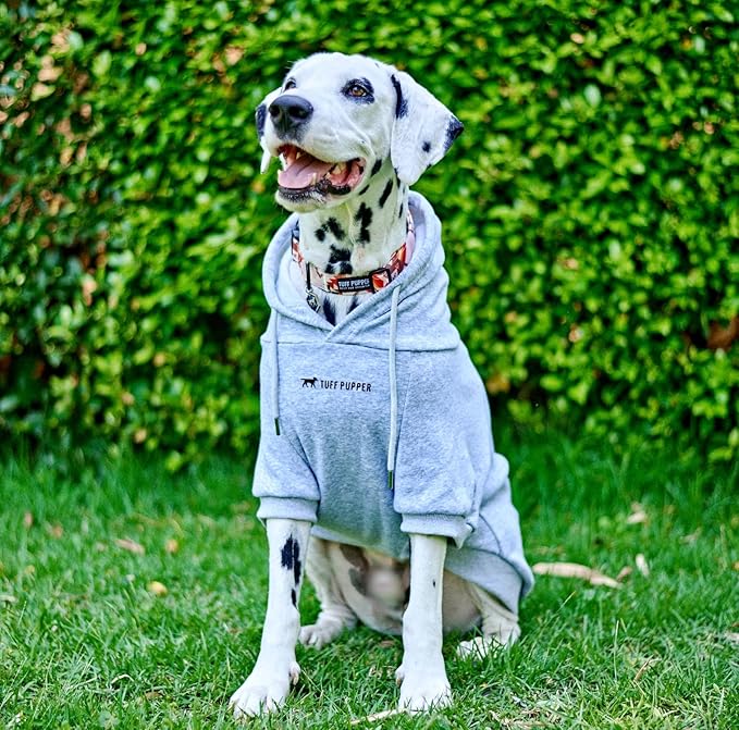 Tuff Pupper Dog Hoodie | Premium Quality 100% Organic Cotton | Ultra Soft Interior for Superior Comfort | Elastic Cuffs & Drawstring for Warmth | Stretch Fit Suitable for All Breeds (Gray, L)
