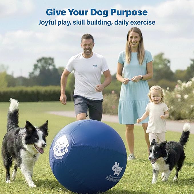 Race&Herd 18" Original XXL Herding Ball for Dogs - Giant Herding Dog Ball Australian Shepherds, Herding Toys, Dog Training Toy for Small Breeds, Dog Toy for Outdoor Play (for Small Dogs, Blue)