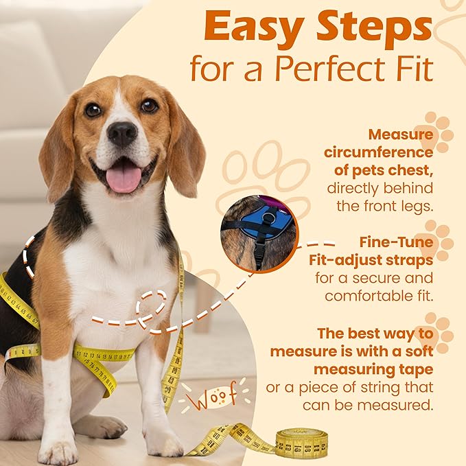 Bark Appeal Blue No-Pull Dog Harness for Small to Medium Sized Pets – Adjustable, Reflective Vest with 3 Leash Clips for Added Control, Easy Walks & Training – Medium