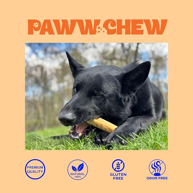 Paww Chew Yak Cheese Himalayan Dog Chews - All Natural Long Lasting Dog Treats, (Monster - 2 Pack) Odorless, High Protein Yak Chew, Great For Oral Health, Only 3 Ingredient Yak Bones for Power-Chewers