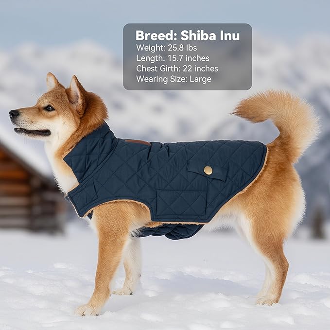 Dog Coat, Warm Soft Dog Winter Coats for Small Dogs, Waterproof Windproof Dogs Adjustable Jacket with Fleece Lined Turtleneck Doggy Snowsuit with Leash Hole, Navy Large