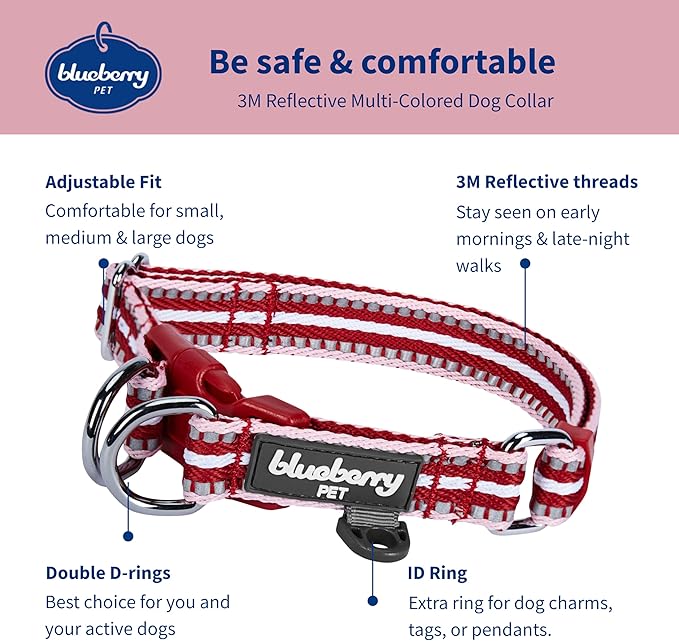 Blueberry Pet Safety Dog Collar with Dual D-Rings | 3M Reflective Multi-Colored Adjustable Collar in Marsala Red and Pink | Soft Nylon Dog Collar for Active Large Dogs