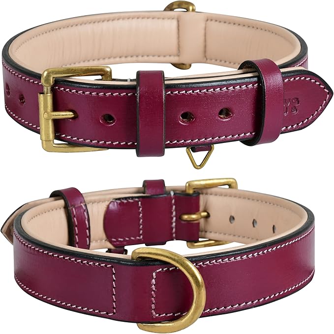 Genuine Leather Dog Collar | Full Grain, Heavy Duty, Comfortable, Padded, Strong | Best for Pups, Small, Medium, Large & XL Breeds (Small (Fit Neck Size 11.5"-14.5"), Dark Pink)