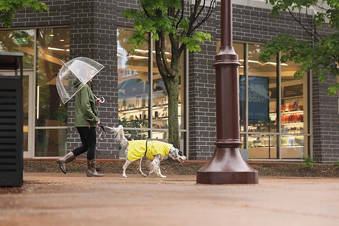 Goldpaw Rainpaw Waterproof Dog Raincoat - Durable Dog Rain Jacket for All Seasons - Easy to Wear, Adjustable, Premium Pet Outerwear - Made in The USA - Machine Washable - Yellow - Size 8