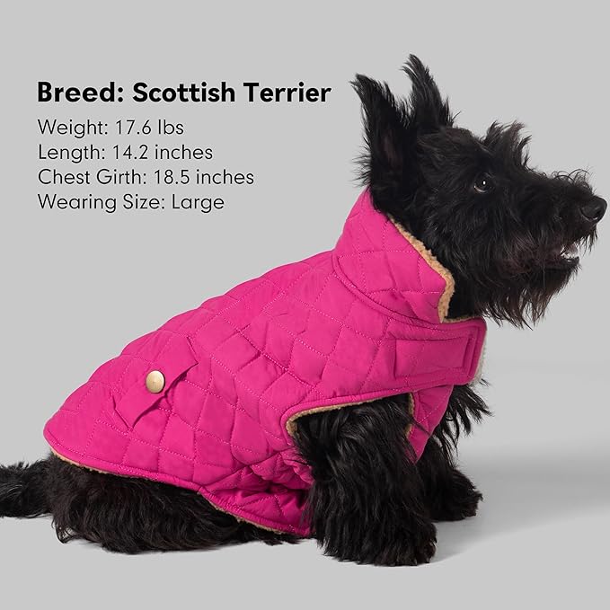 azuza Dog Jacket Waterproof & Windproof Dog Coat for Small Dogs with Thick Fleece, High Collar with Leash Hole, Adjustable Velcro & Elastic Belly, Rose Red L