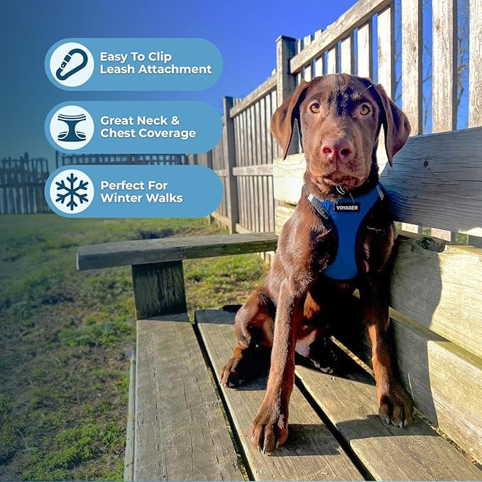 Best Pet Supplies - All Weather Mesh / Plush, Reflective, No Pull Harness for Small, Medium Dogs, Cats - Secure with Hook & Loop Fastener, Buckle, Double D-Rings - Royal Blue Faux Leather, S