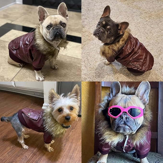 LESYPET Dog Leather Jacket for Small Dogs, Waterproof Dog Winter Jacket Puppy Coat with Fleece Lined, Ultra Warm Fur Collar Doggie Coat, Red L