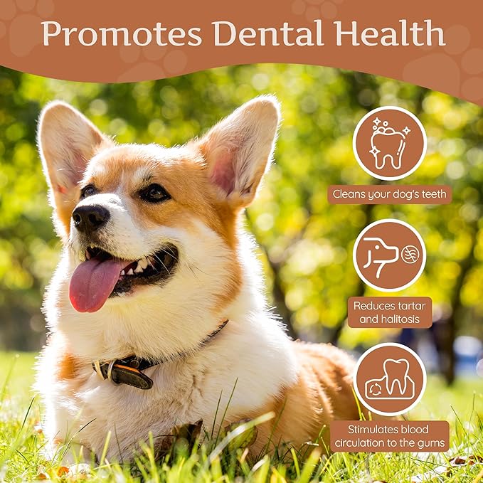 Wildfang® Coffee Wood Dog Chew, XS - Tough Chew Toys for Aggressive Chewers, Dog Teething Toys for Puppies, Training for Chewing Muscles, Coffee Tree Sticks for X-Small Dogs (Under 22 lbs)