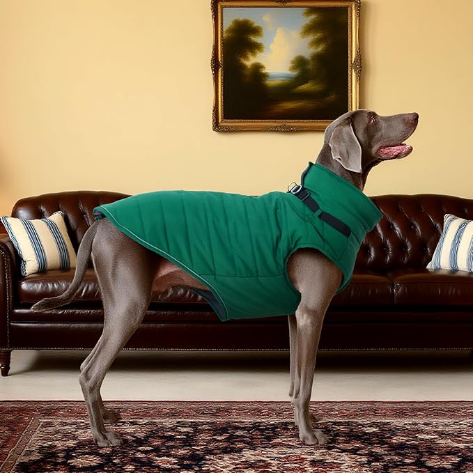 Kuoser Dog Jacket, Warm Dog Coat with Harness Built in for Small Dogs, Puppy Winter Jacket Pet Clothes for Cold Weather, Windproof Doggie Winter Vest for Chihuahua Yorkie, Green XS