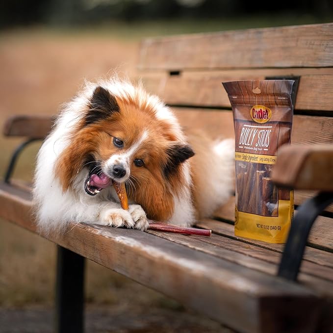 Cadet Bully Sticks for Small Dogs – All-Natural Beef Pizzle, High Protein, Low Fat, Long-Lasting, Grain & Rawhide-Free Dog Chews for Aggressive Chewers, Small (50 Count)
