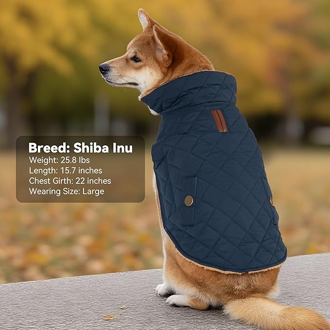Dog Coat, Warm Winter Dog Waterproof Jacket for Medium Dogs, Fleece Lined Adjustable Dogs Coats Cold Weather Windproof Doggie Snowsuit with Leash Hole, Navy X-Large