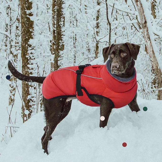 IECOii Warm Dog Coat - Adjustable Jacket with Reflective Fleece Turtleneck for Cold Weather, Soft Winter Coat for Small to Extra Large Dogs
