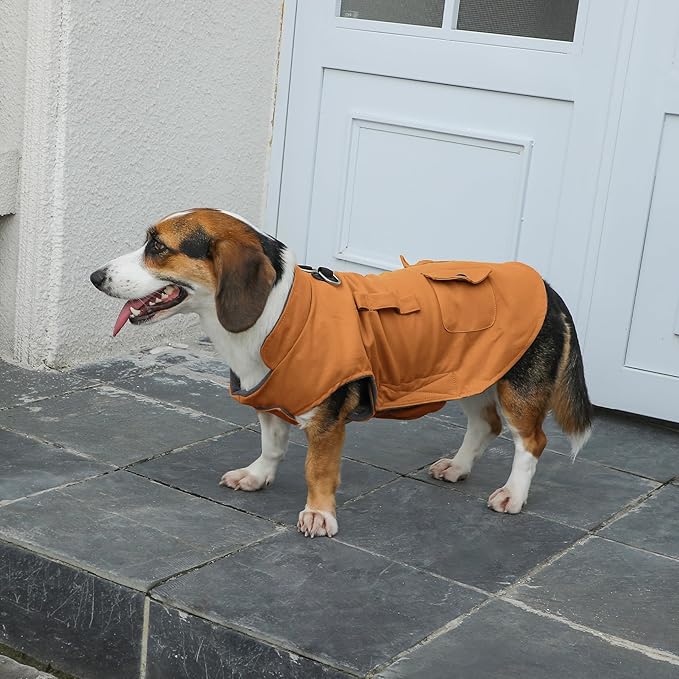 Workwear Style Dog Coats with Harness Built in for Small Dogs Windproof Warm Puppy Jacket with Storage Pockets for Cold Winter,BrightBeige L