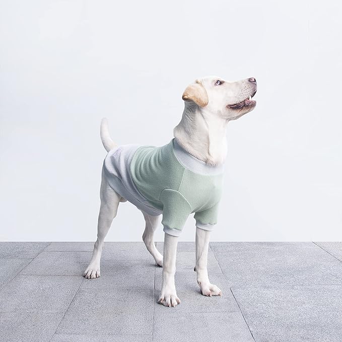 Extra Large Dog Sweaters Warm Clothes Pullover Sweatshirts for Labrador Rottweiler Great Dane, Green Grey, 4X-Large