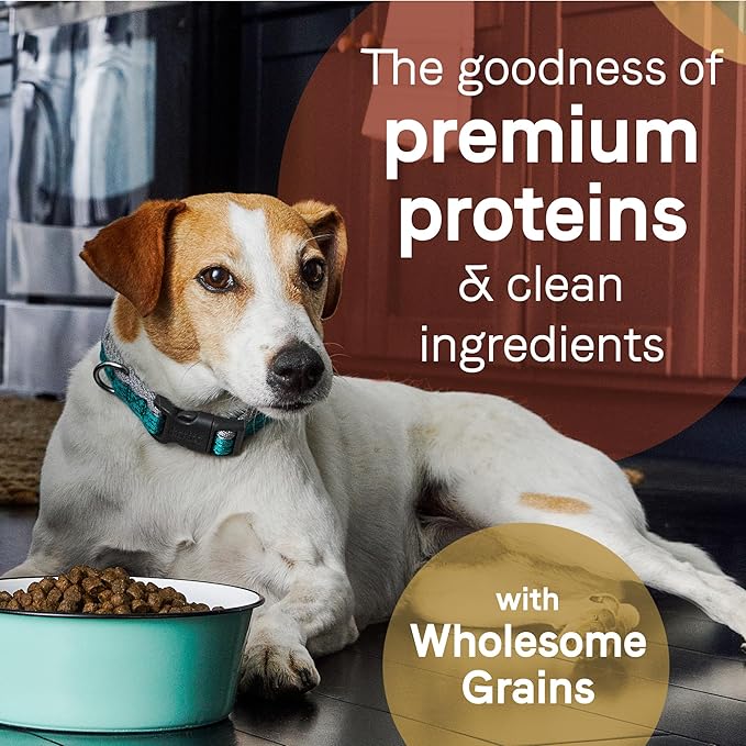 CANIDAE Pure Limited Ingredient Premium Puppy Dry Dog Food, Real Salmon & Oatmeal Recipe, 22 lbs, with Wholesome Grains