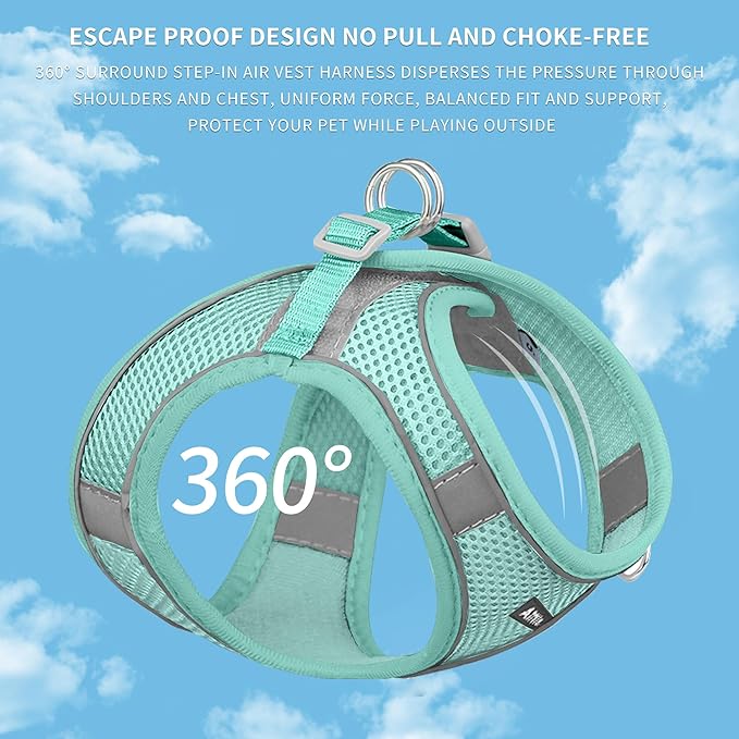 AIITLE Small Harness for Puppy with A Leash - Summer Dog Vest Harness with Super Breathable Mesh, Reflective No-Pull Pet Harness for Outdoor Walking, Camping for Small Dogs, Cats Pure Turquoise XXS