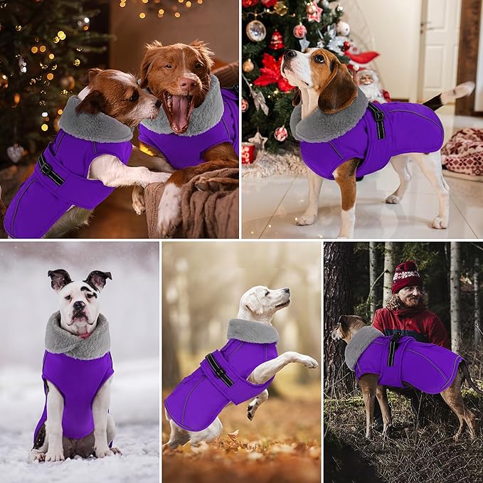Dogcheer Dog Coat with Pocket, Waterproof Dog Jacket with Adjustable Buckle, Reflective Puppy Winter Coat Warm Turtleneck Fleece SnowJacket for Small Medium Large Dogs - Purple M