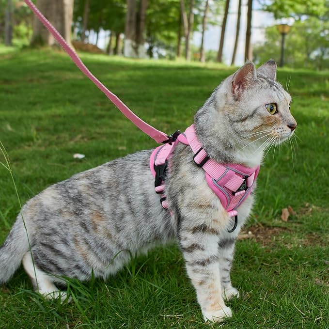 Cat Harness and Leash Set Escape Proof Tactical Large Kitten Harness Emotional Support Cat Vest, Pink, L