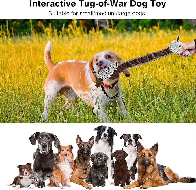 IOKHEIRA Tough Indestructible Dog Toys for Aggressive Chewers, Durable Dog Chew Toys for Large Breeds with Cotton Material & Crinkle Paper, Aggressive Chew Toys for Dogs（Armadillo）
